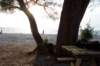 dcp_0795_small.jpg