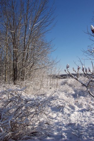 dcp_1574.jpg