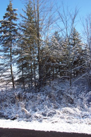 dcp_1577.jpg