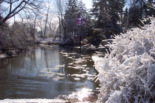 dcp_1604.jpg
