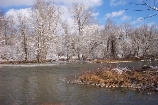 dcp_1614.jpg