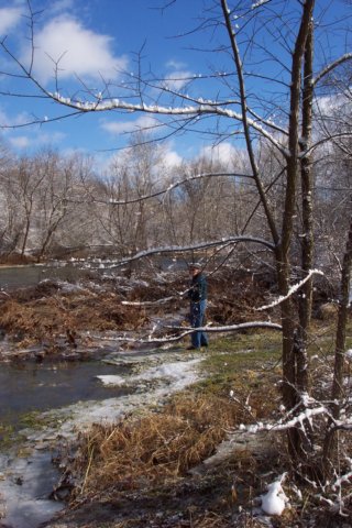 dcp_1617.jpg