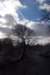dcp_1626_small.jpg