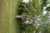 dcp_1639_small.jpg