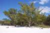 dcp_1649_small.jpg