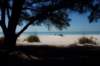 dcp_2029_small.jpg