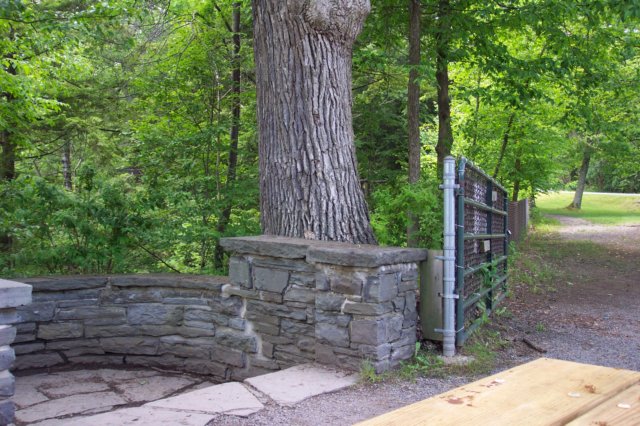 dcp_2088.jpg