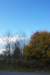 mypictures0013_small.jpg