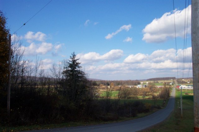 mypictures0014.jpg