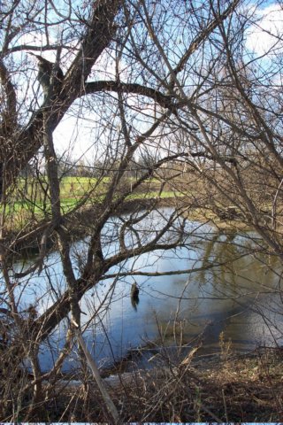 mypictures0015.jpg