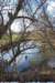 mypictures0015_small.jpg