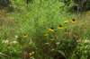 mypictures0016_small.jpg