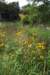 mypictures0017_small.jpg