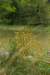 mypictures0020_small.jpg