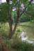 mypictures0021_small.jpg