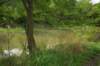 mypictures0022_small.jpg