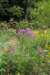 mypictures0023_small.jpg