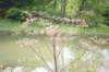 mypictures0026_small.jpg