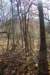 mypictures0033_small.jpg