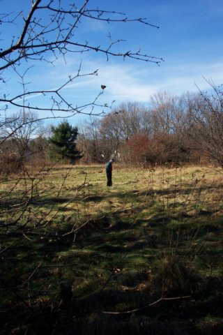 mypictures0034.jpg