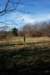 mypictures0034_small.jpg
