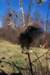 mypictures0035_small.jpg
