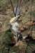mypictures0039_small.jpg