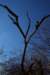 mypictures0045_small.jpg