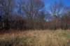 mypictures0046_small.jpg
