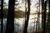 mypictures0048_small.jpg