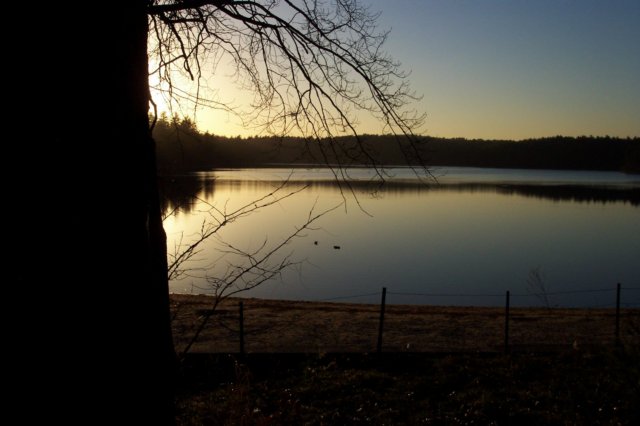 mypictures0055.jpg